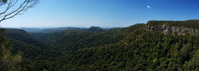 085_Springbrook_NP.jpg - Panorama im Springbrook NP